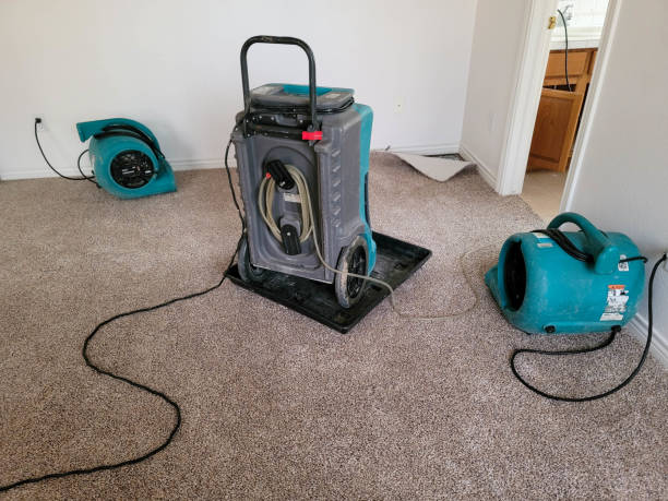 Best 24-hour water damage restoration  in Whitehall, OH