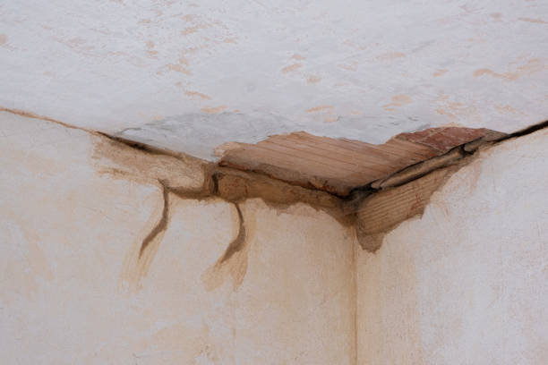 Best Flooded house restoration  in Whitehall, OH