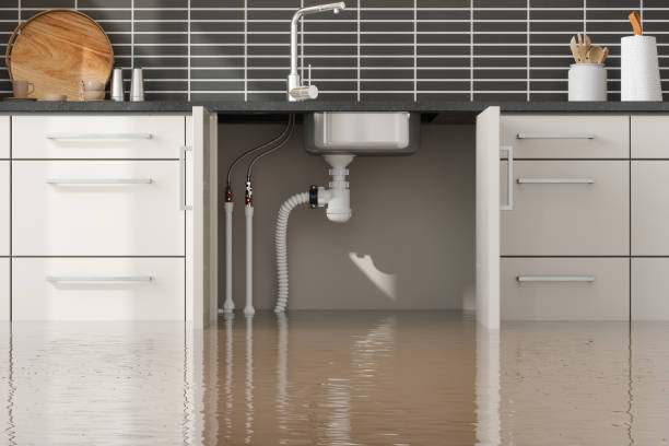 Best Commercial water damage restoration  in Whitehall, OH