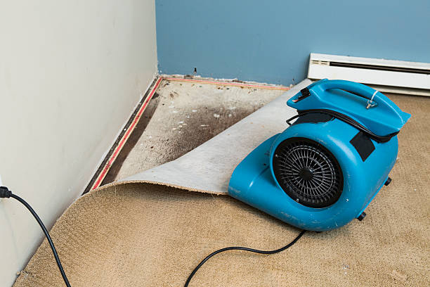 Reliable Whitehall, OH Water damage restoration Solutions